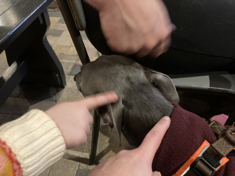 IMG_1881.jpeg