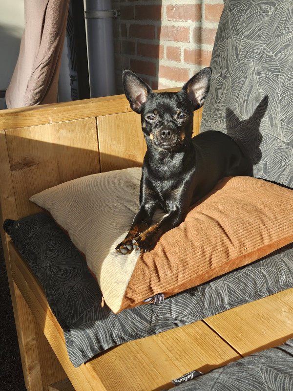 20260207_110923.jpg