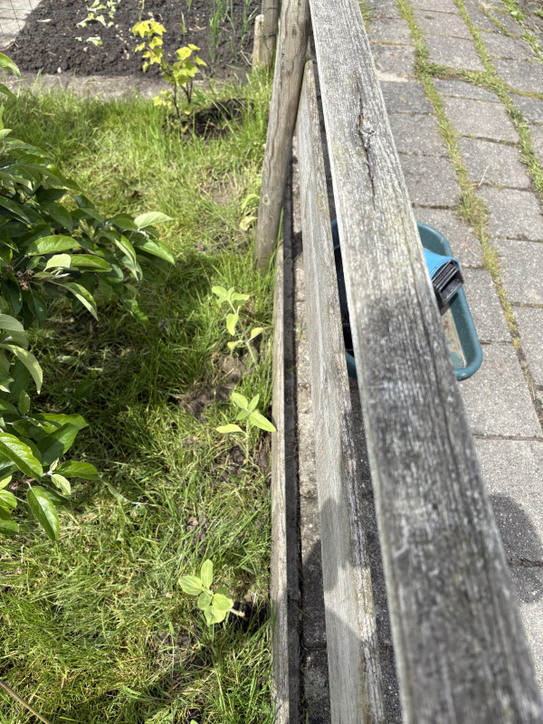 IMG_5026.jpeg