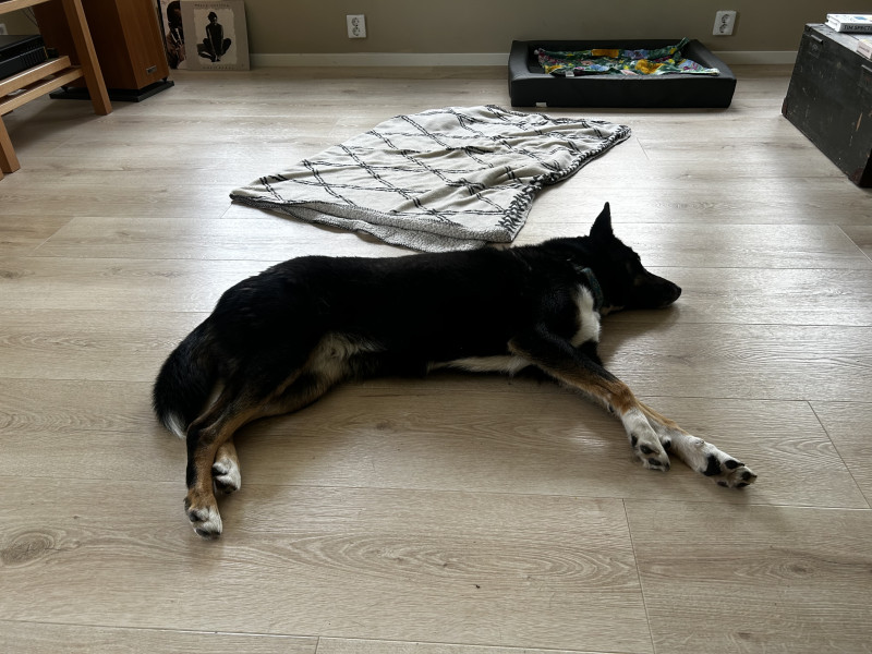IMG_0282.jpeg