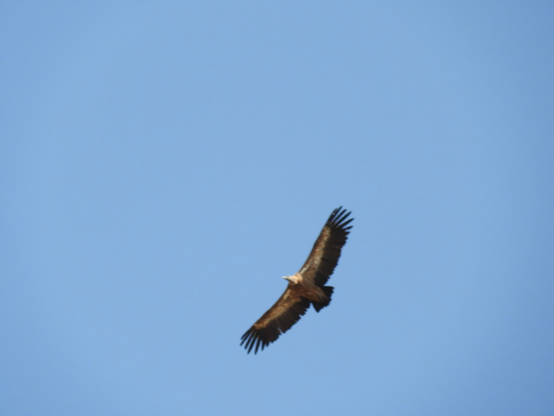 DSCN4162.JPG