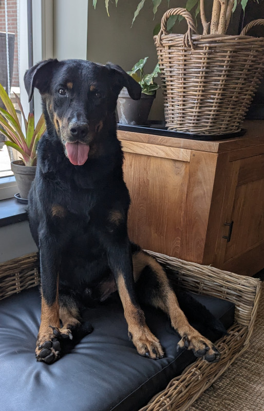 Odin-28-06-2026.jpg