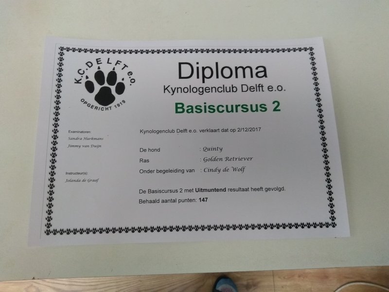 diploma basis 2 quinty.jpg