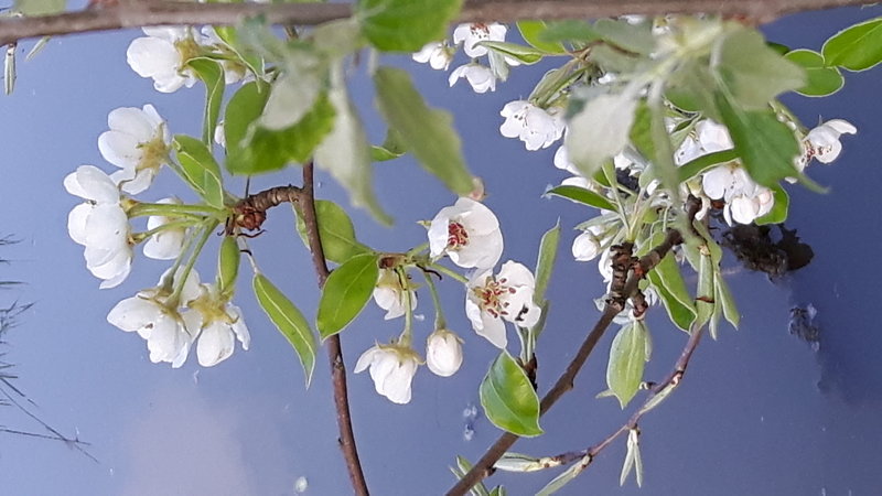 20170404_104937.jpg