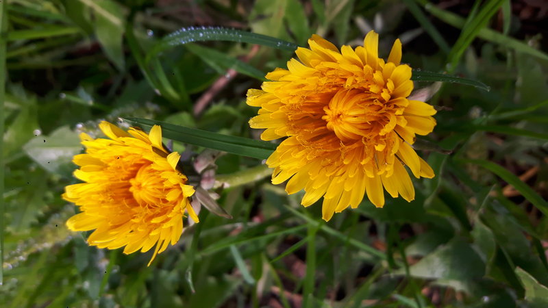 20170404_104242.jpg