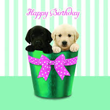 IMG_1483.JPG