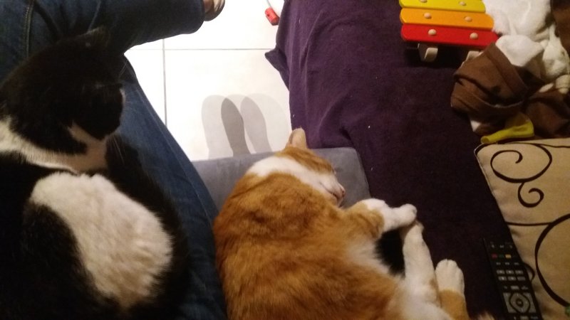 20170421_210239.jpg