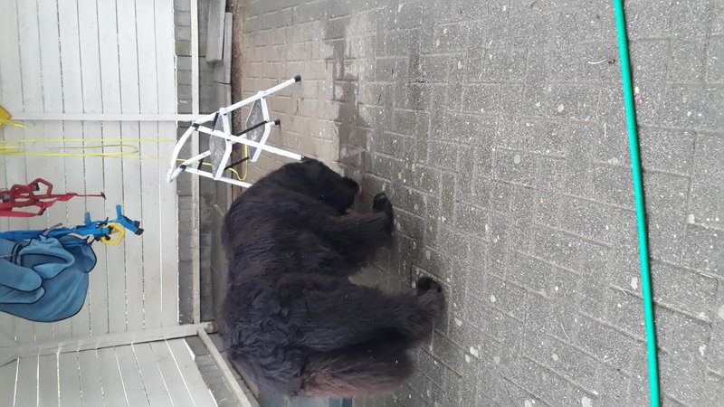 20180728_070951.jpg