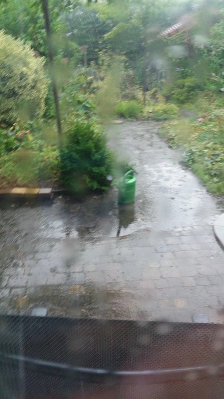 IMG-20180728-WA0004.jpg