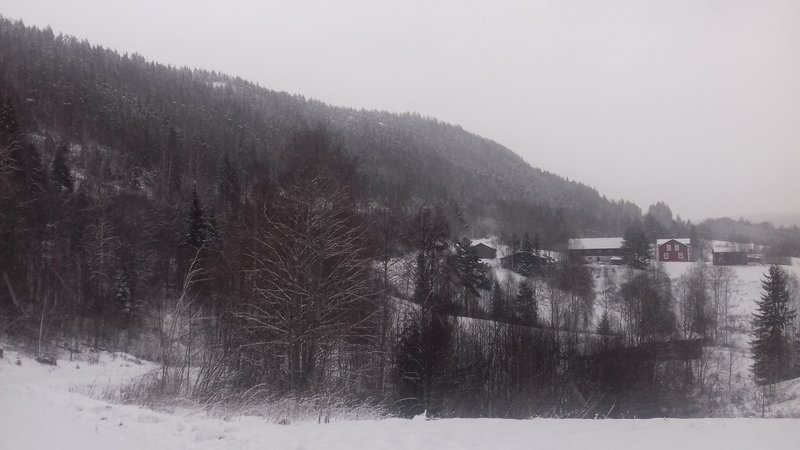 20181221_133050.jpg