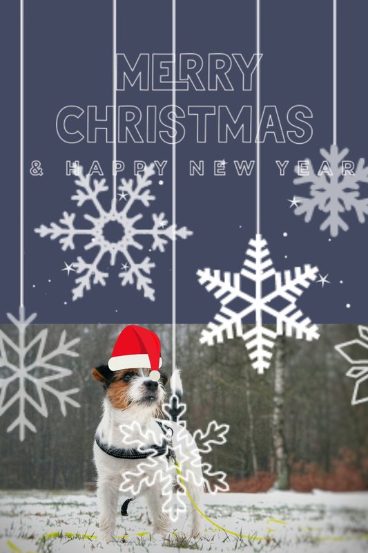 Collage 2018-12-22 17_38_44.jpg