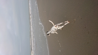 DSC_0224.JPG