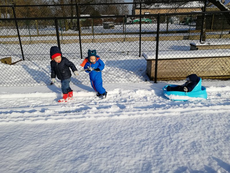 IMG_20190123_144424.jpg