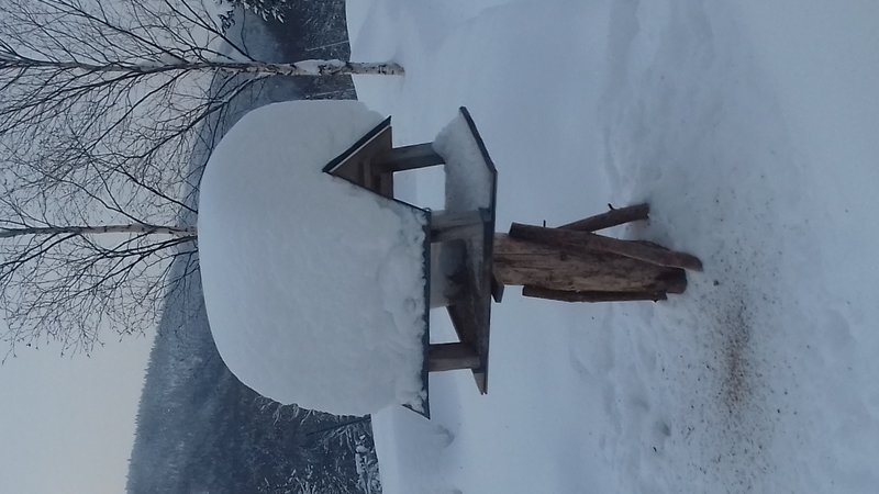 20190204_133736.jpg