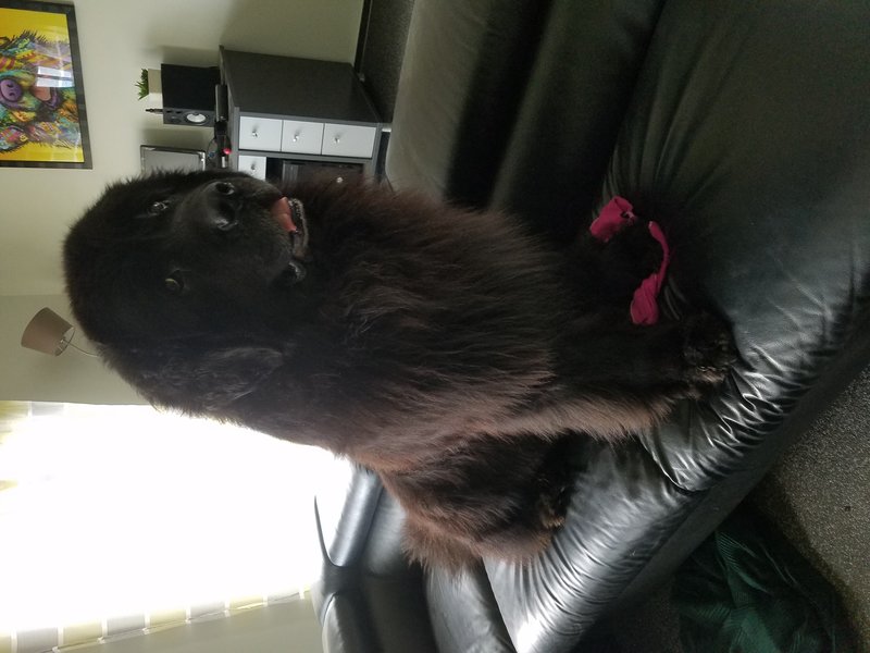 20190307_151512.jpg