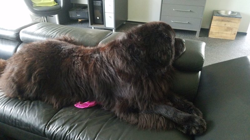 IMG-20190307-WA0002.jpeg