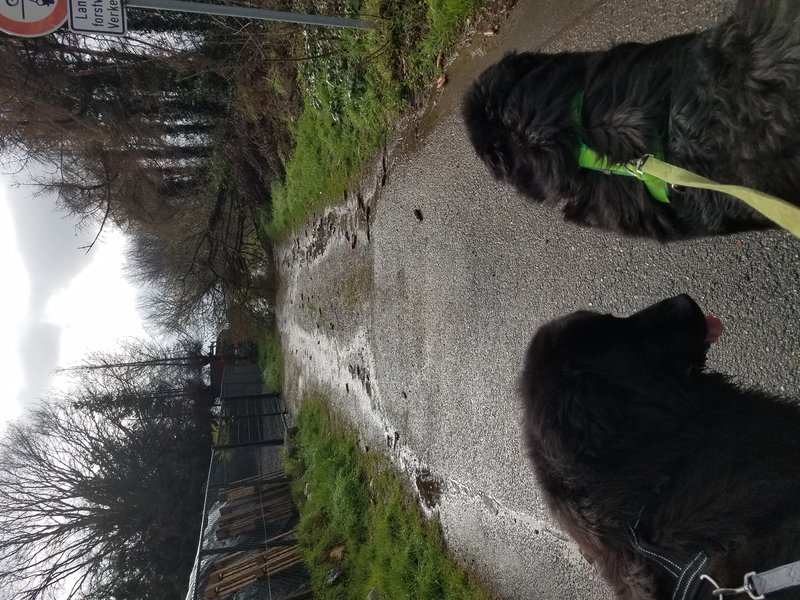 20190311_100351.jpg