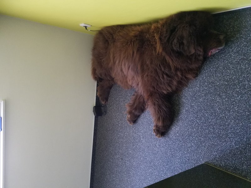 20190311_103405.jpg