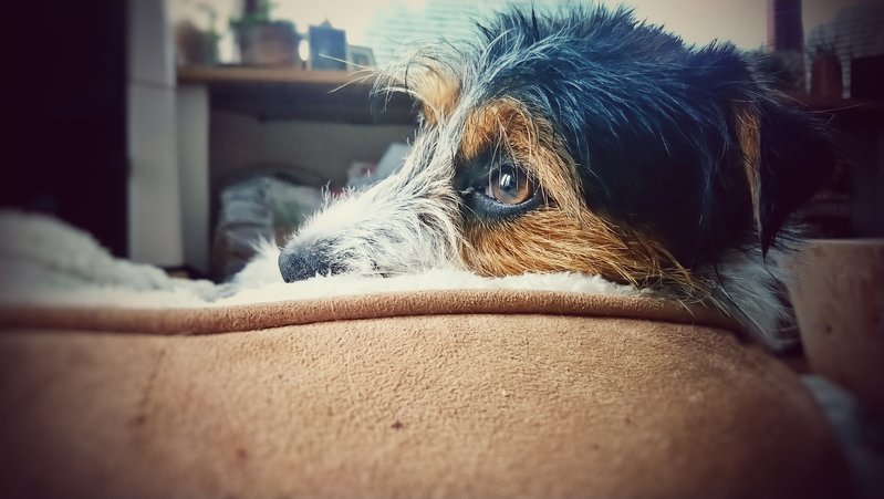 DSC_1039-01.jpeg