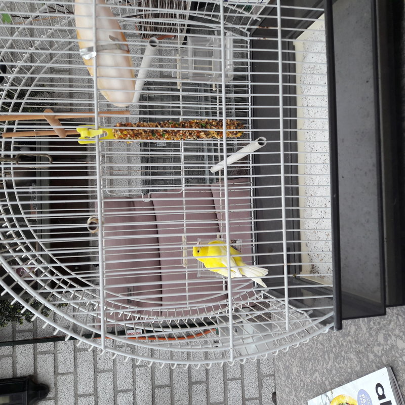 20190330_160331.jpg