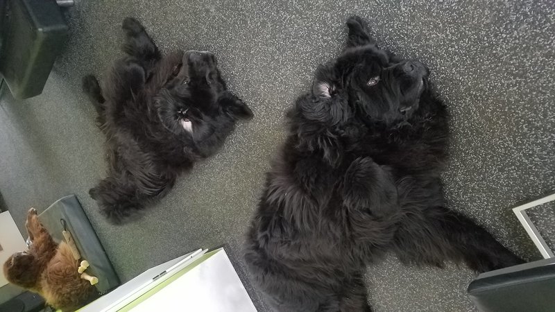 20190425_165637.jpg