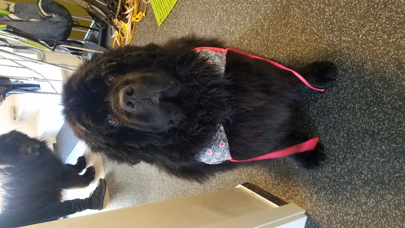 20190427_155921.jpg