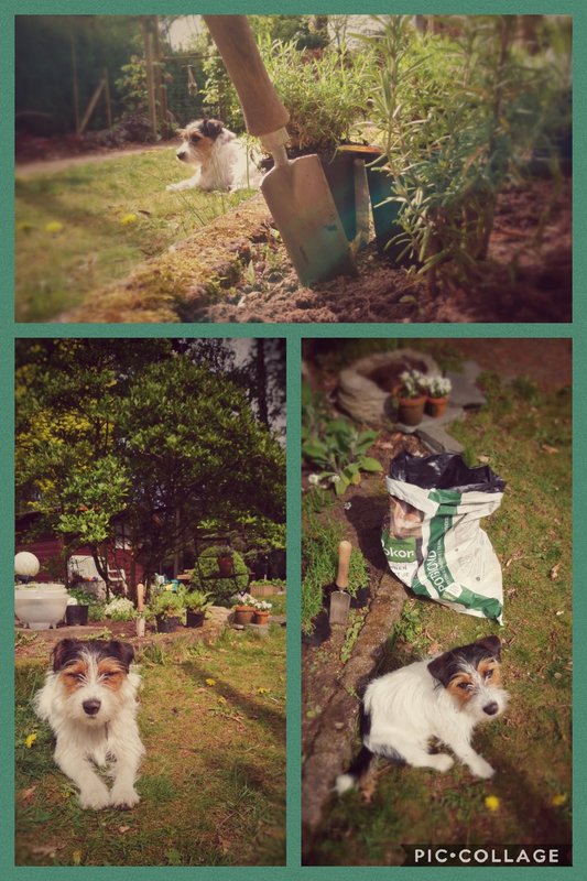 Collage 2019-04-29 15_08_48.jpg