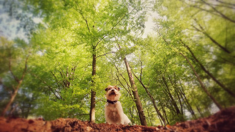 DSC_2191-02.jpeg