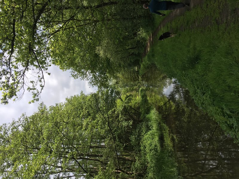 D8E1A148-19F1-4862-BC99-0187105113D5.jpeg