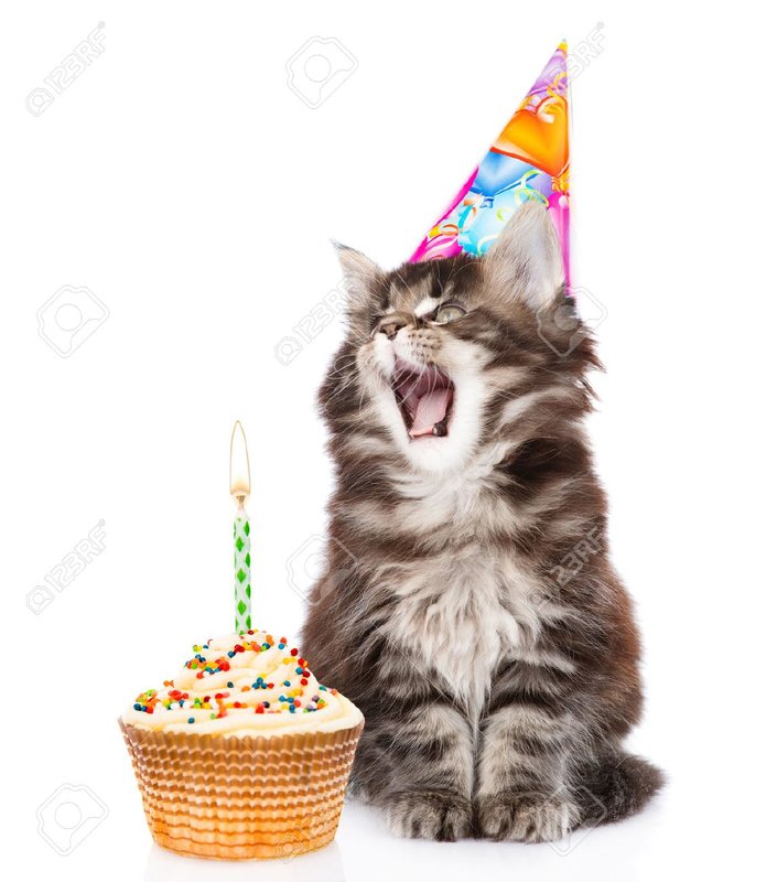 51347416-kat-in-verjaardag-hoed-blaast-de-kaarsjes-op-de-taart-geïsoleerd-op-een-witte-achtergrond-.jpg