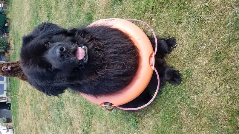 20190704_155018.jpg