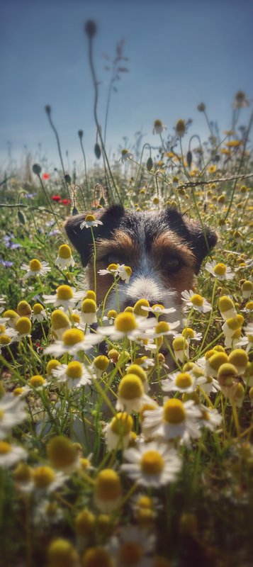DSC_0361-01.jpeg