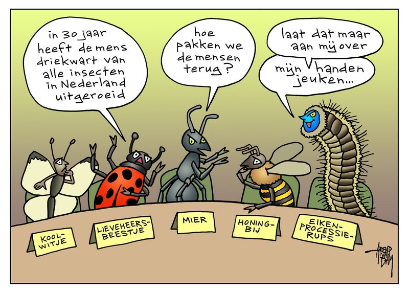 De rups.jpg