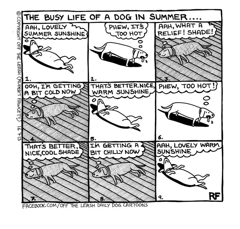 Off Leash.jpg