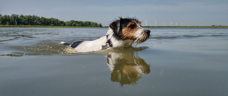 DSC_0778-01.jpeg