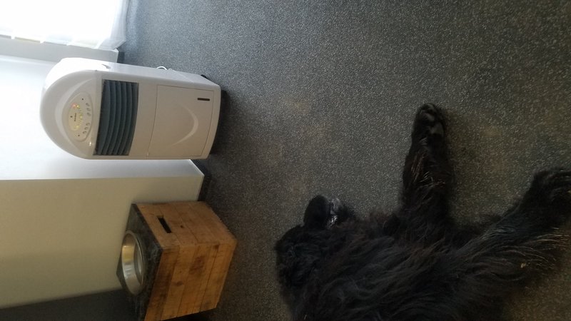 20190724_124841.jpg