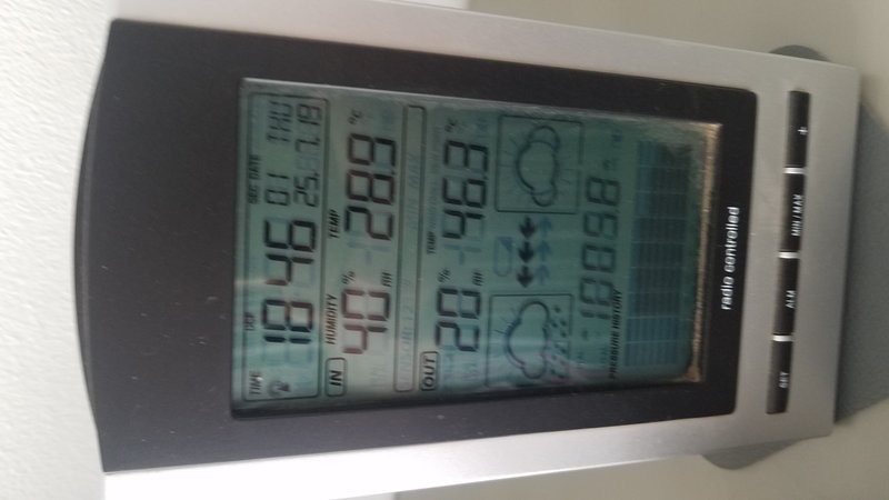 20190725_184602.jpg