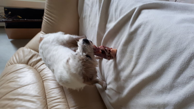 20190731_154433.jpg