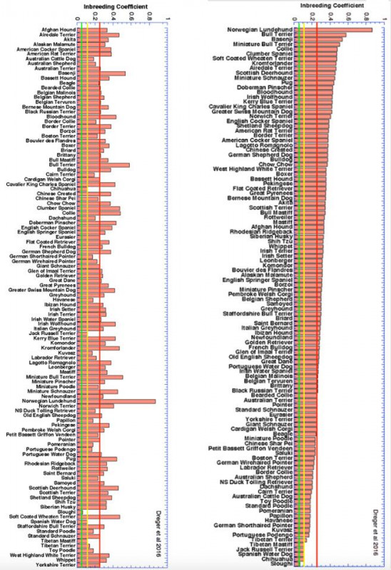 Inbreeding.jpg