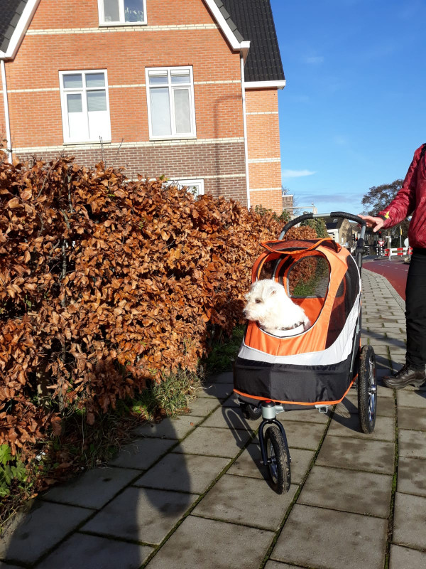 IMG-20191201-WA0000.jpg