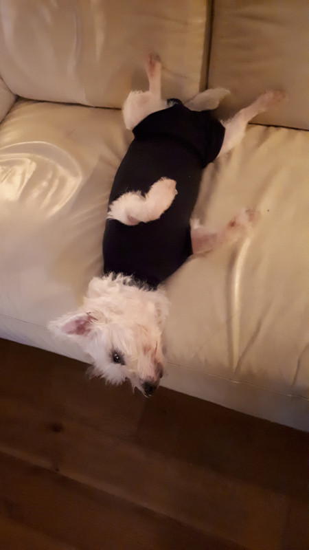 20191208_203742.jpg