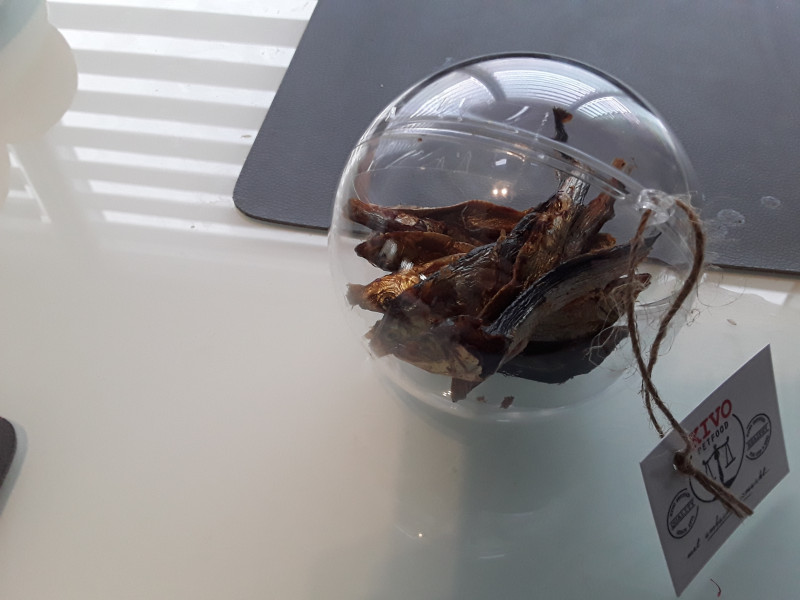 20191217_100306.jpg