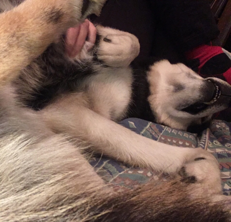 03041B3C-9430-41AD-BEDF-6420588909D0.jpeg