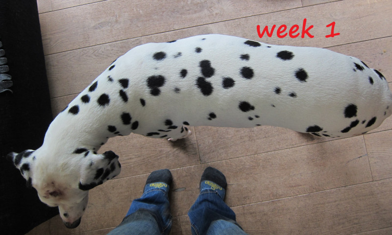 week1b.jpg
