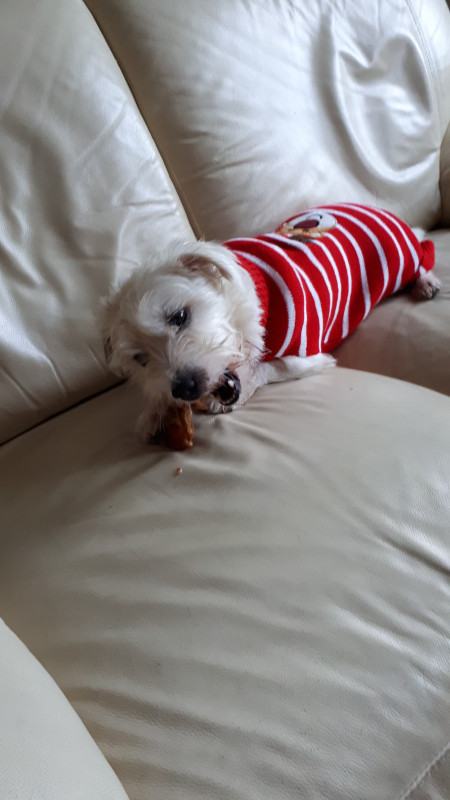 20191218_145746.jpg