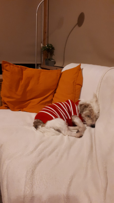 20191223_182132.jpg
