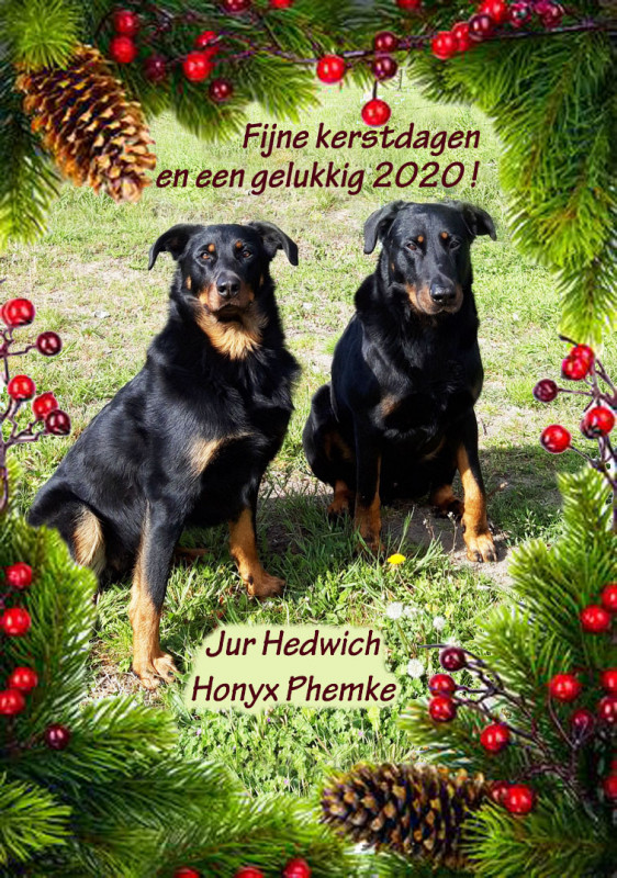 feestdagen2019-2020.jpg