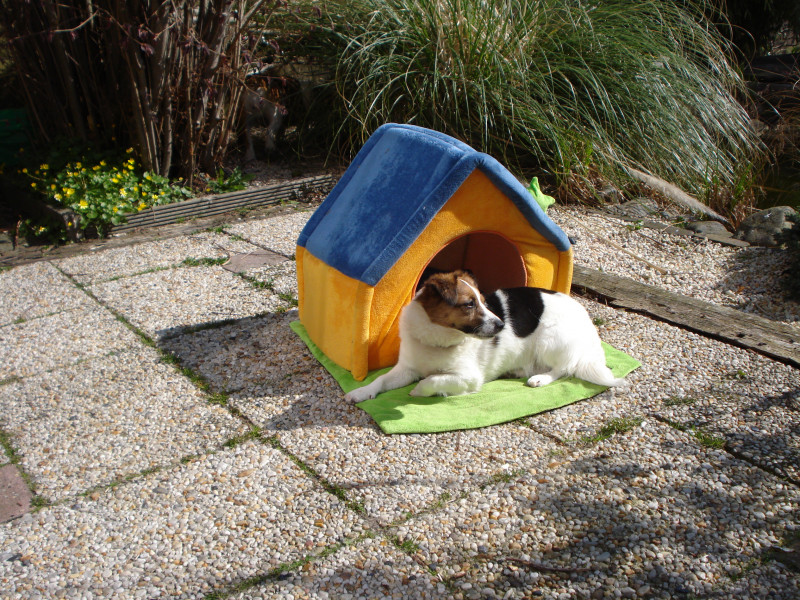DSC02525.JPG