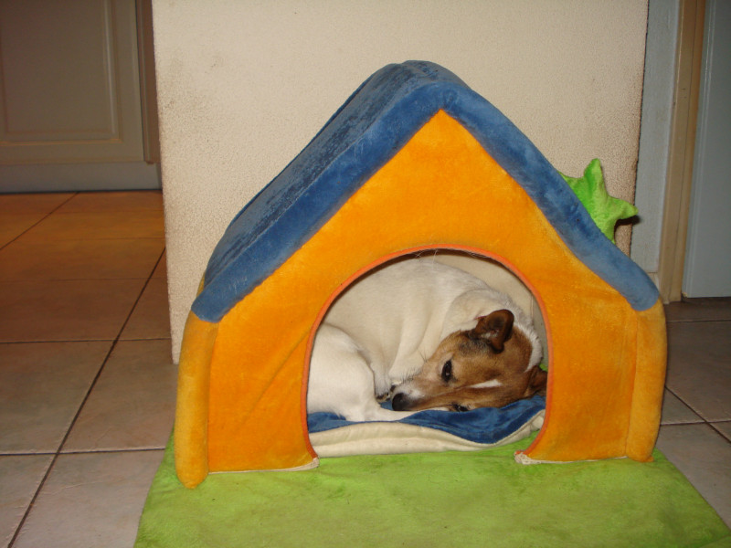 DSC02558.JPG