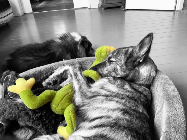 914FF31B-29F8-4BB4-BE2D-7E5786C6CD60.jpeg